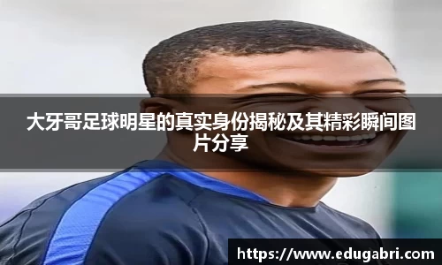 必一运动bsport体育