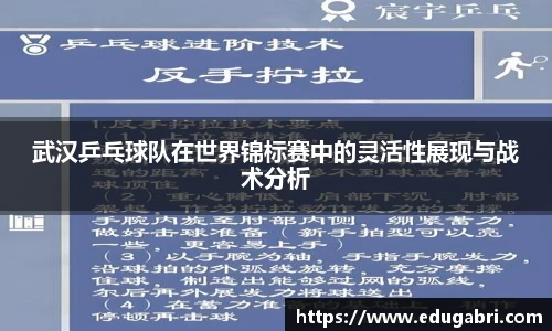 必一·体育(b-sports)